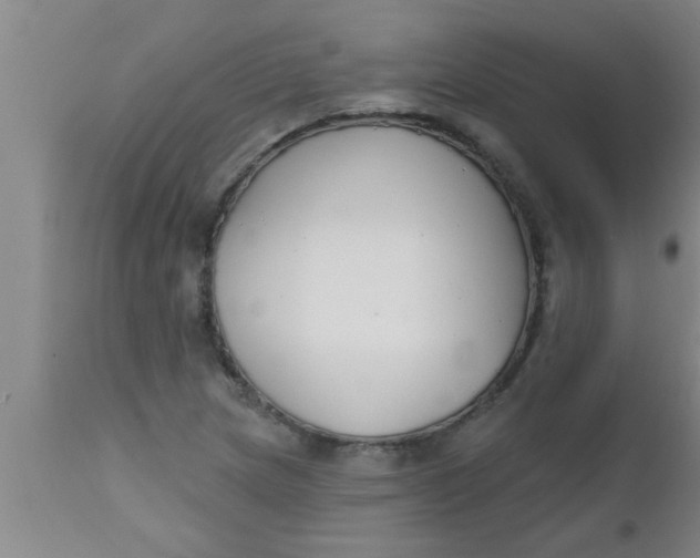 X0000112541217200909071414