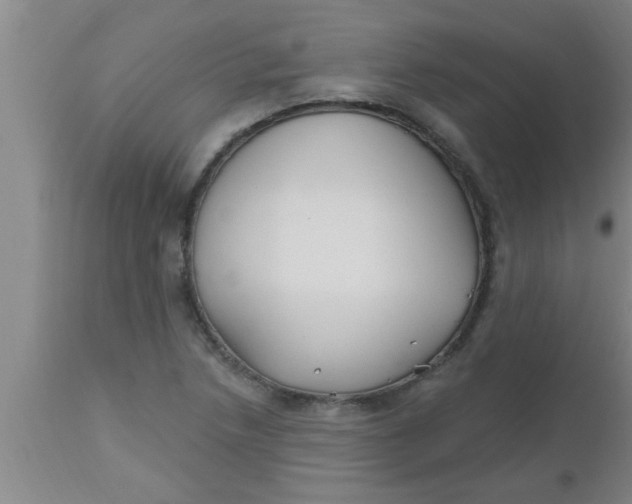 X0000112541218200909071414