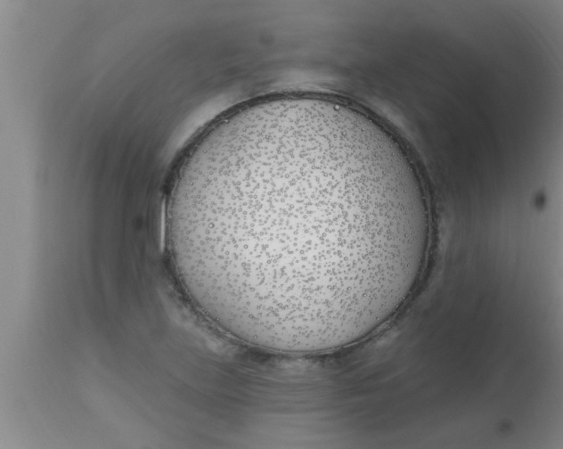 X0000112541219200909071414