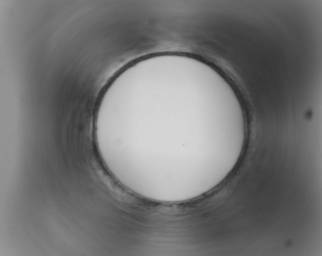 X0000112541220200909071414