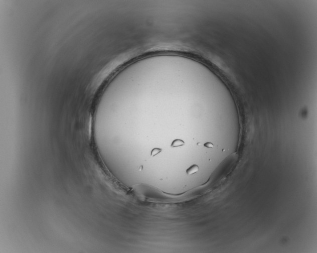 X0000112541221200909071414