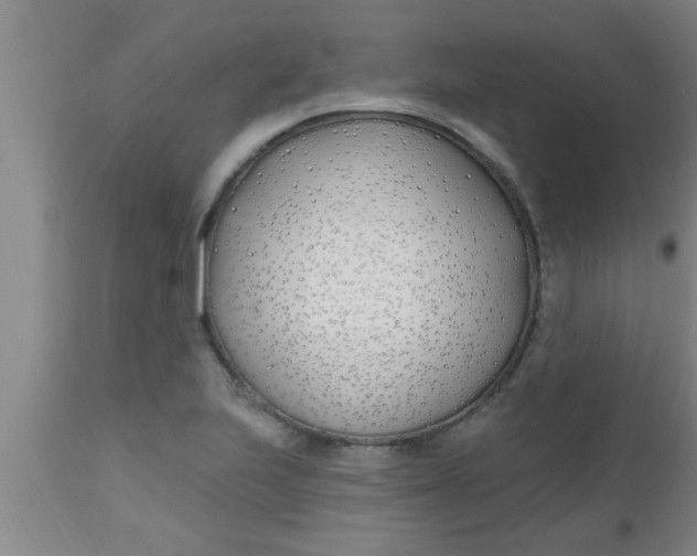 X0000112541223200909071414