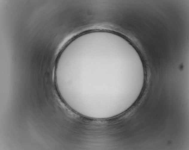 X0000112541224200909071414