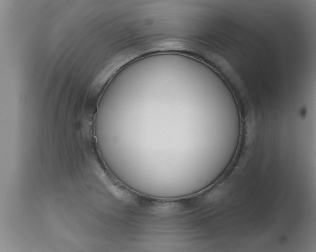 X0000112541225200909071414
