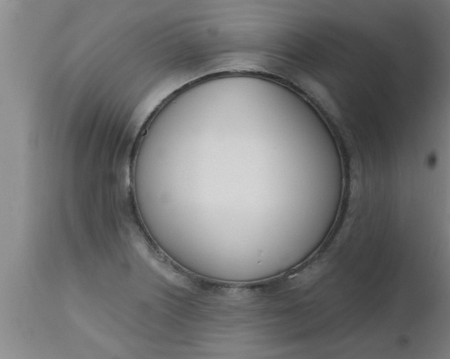 X0000112541226200909071414
