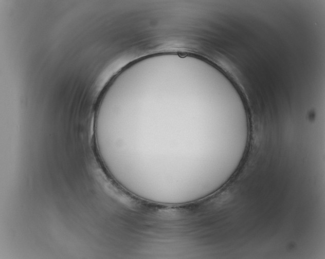X0000112541227200909071414