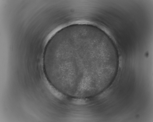 X0000112541229200909071414