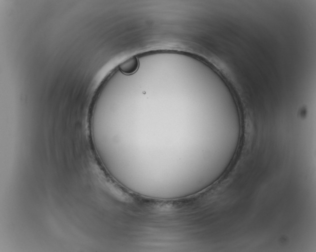 X0000112541230200909071414