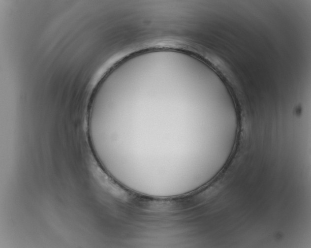 X0000112541232200909071414