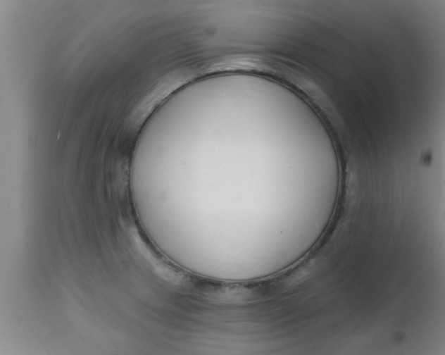 X0000112541233200909071414