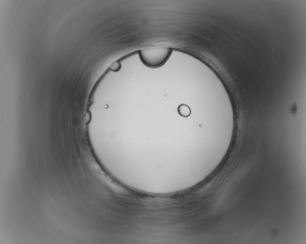 X0000112541236200909071414