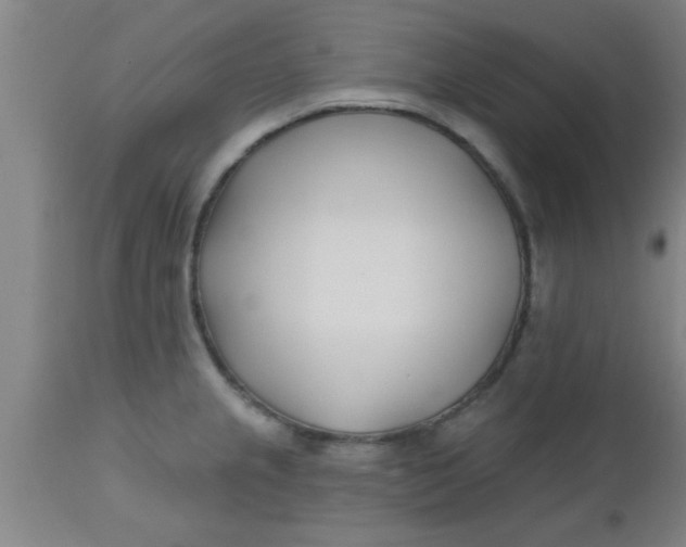 X0000112541237200909071414