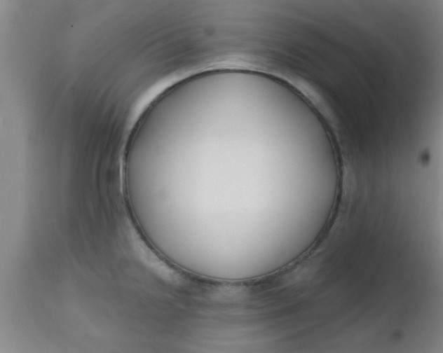 X0000112541238200909071414