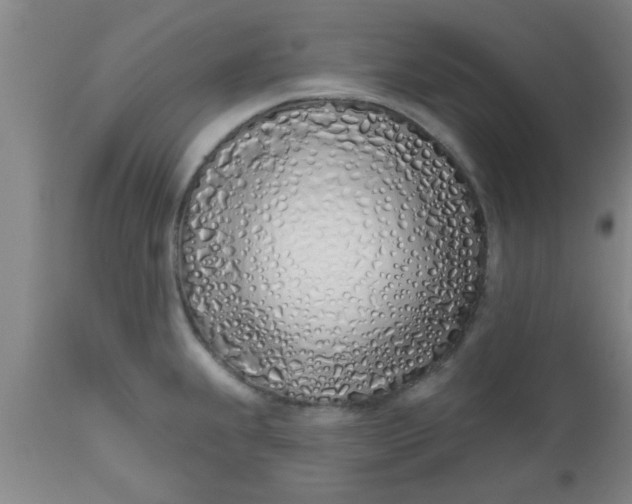 X0000112541239200909071414
