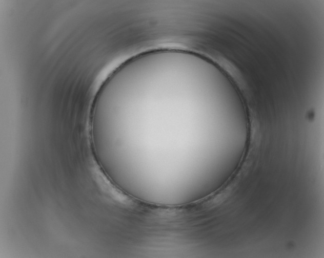 X0000112541240200909071414