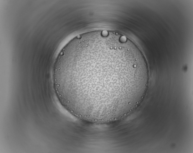 X0000112541243200909071414