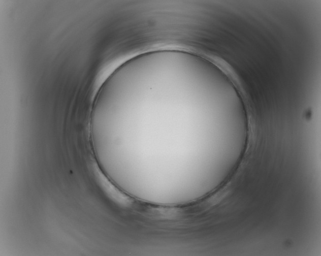 X0000112541244200909071414