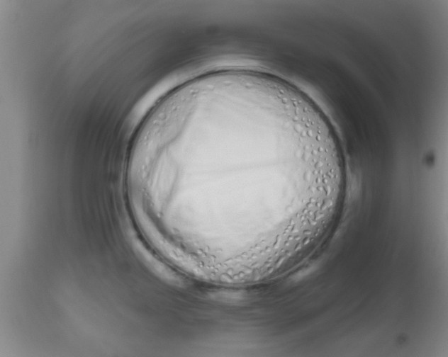 X0000112541245200909071414