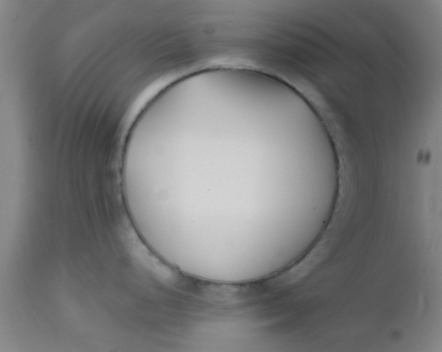 X0000112541248200909071414