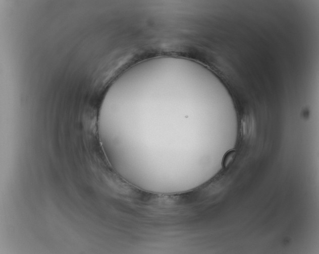 X0000112541251200909071413