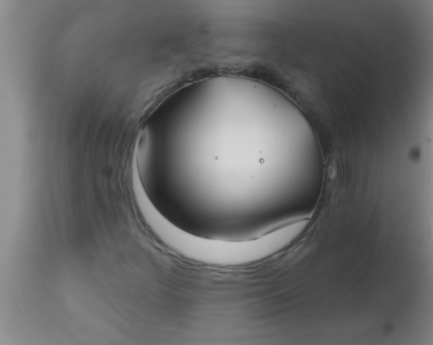 X0000112541252200909071413