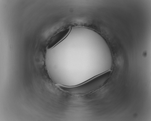 X0000112541253200909071413