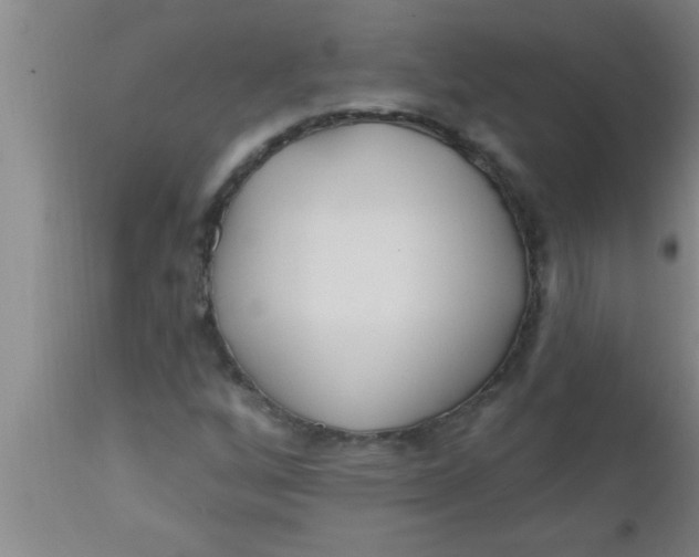 X0000112541256200909071413