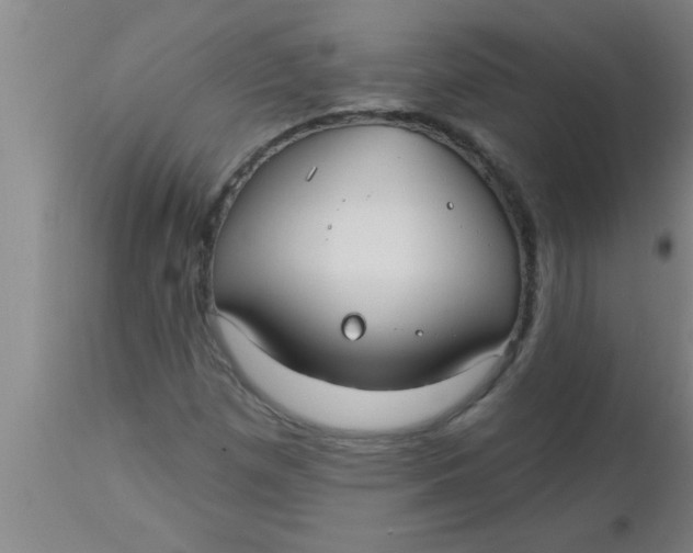 X0000112541257200909071413