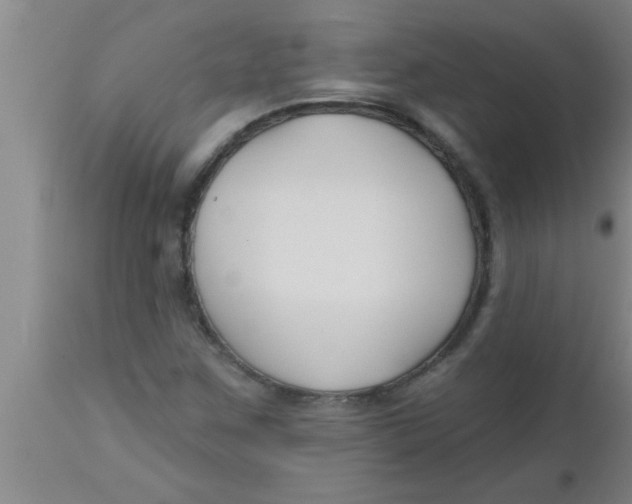 X0000112541259200909071413
