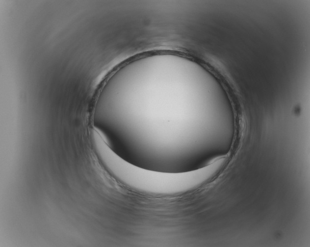 X0000112541260200909071413