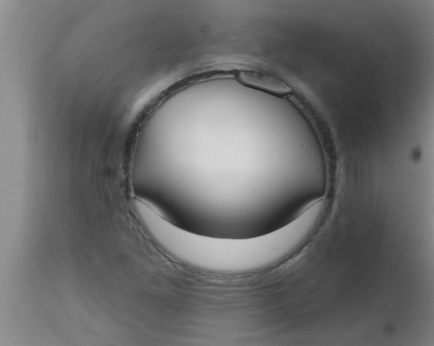 X0000112541261200909071413