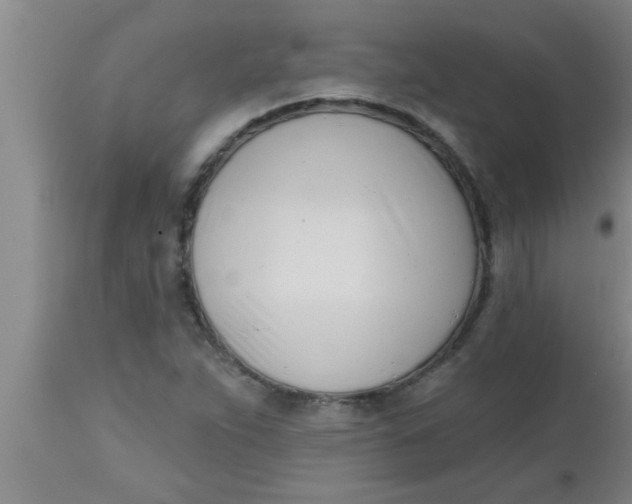 X0000112541263200909071413