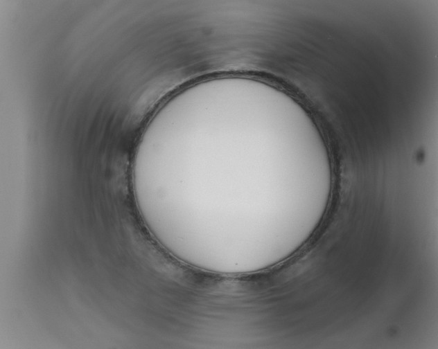 X0000112541265200909071413
