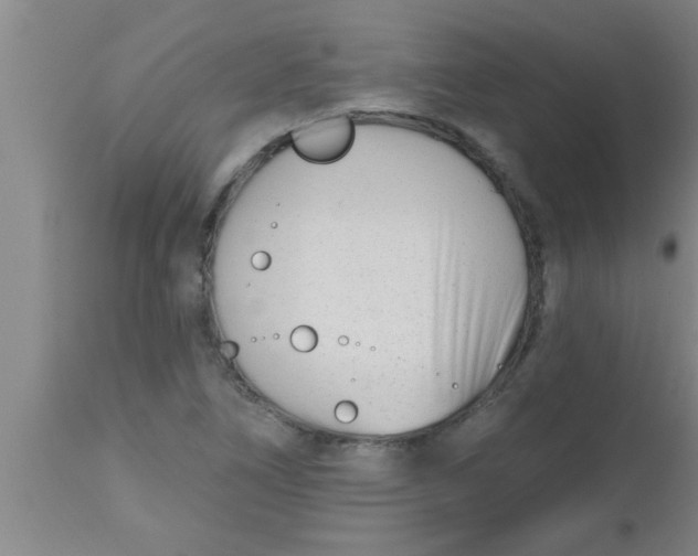 X0000112541266200909071413