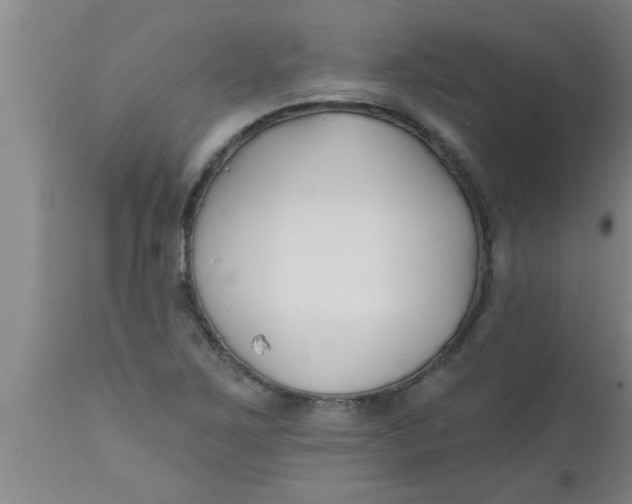 X0000112541267200909071413