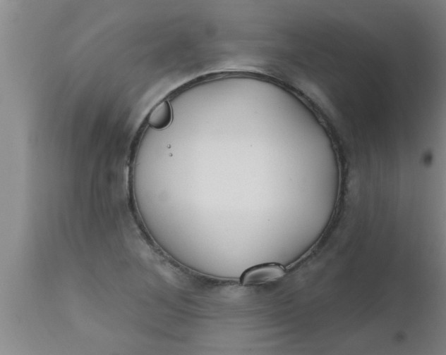 X0000112541268200909071413