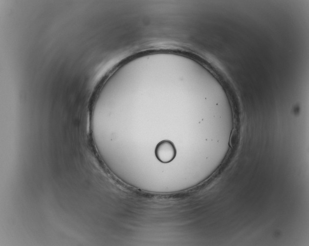 X0000112541269200909071413