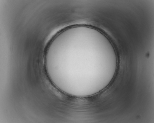 X0000112541270200909071413