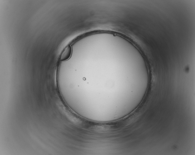 X0000112541272200909071413