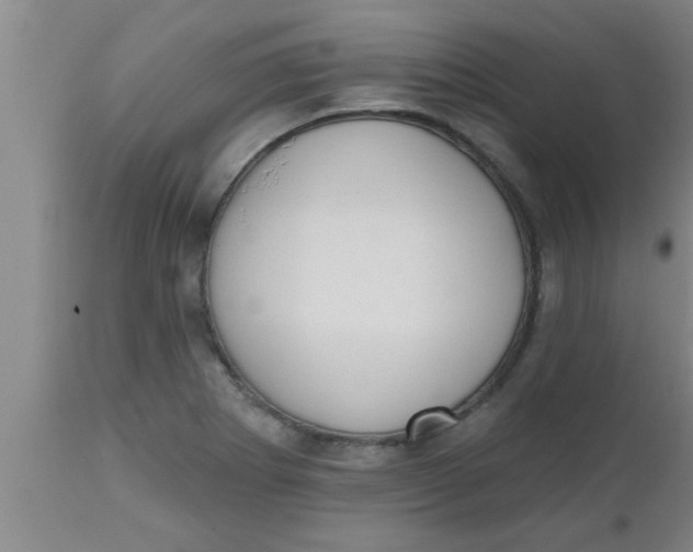 X0000112541273200909071413