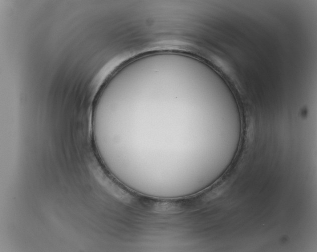 X0000112541275200909071413
