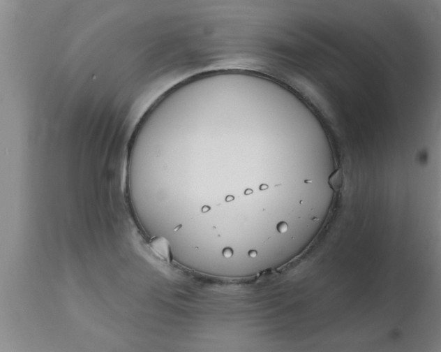 X0000112541276200909071413