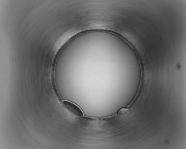 X0000112541277200909071413