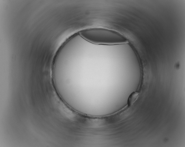 X0000112541280200909071413