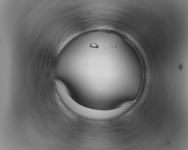 X0000112541281200909071413