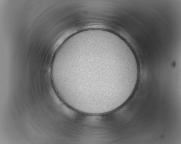 X0000112541282200909071413