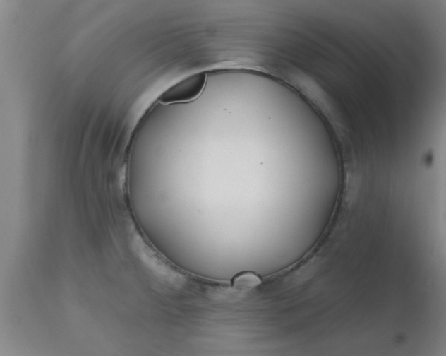 X0000112541284200909071413