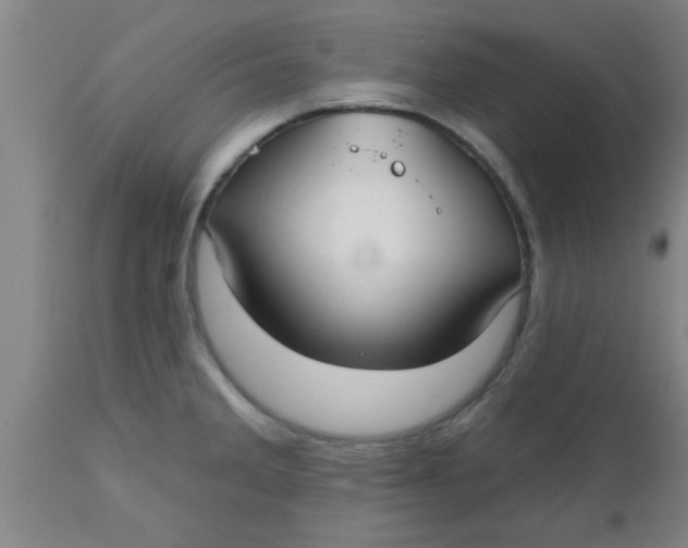 X0000112541285200909071413
