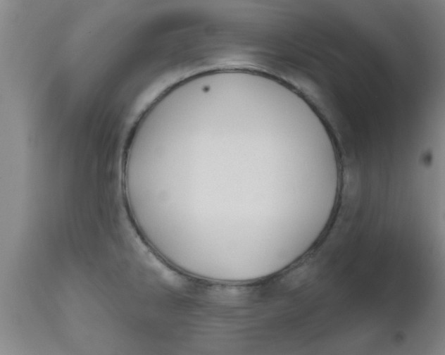 X0000112541286200909071413