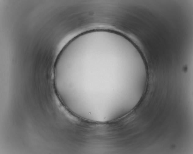 X0000112541287200909071413